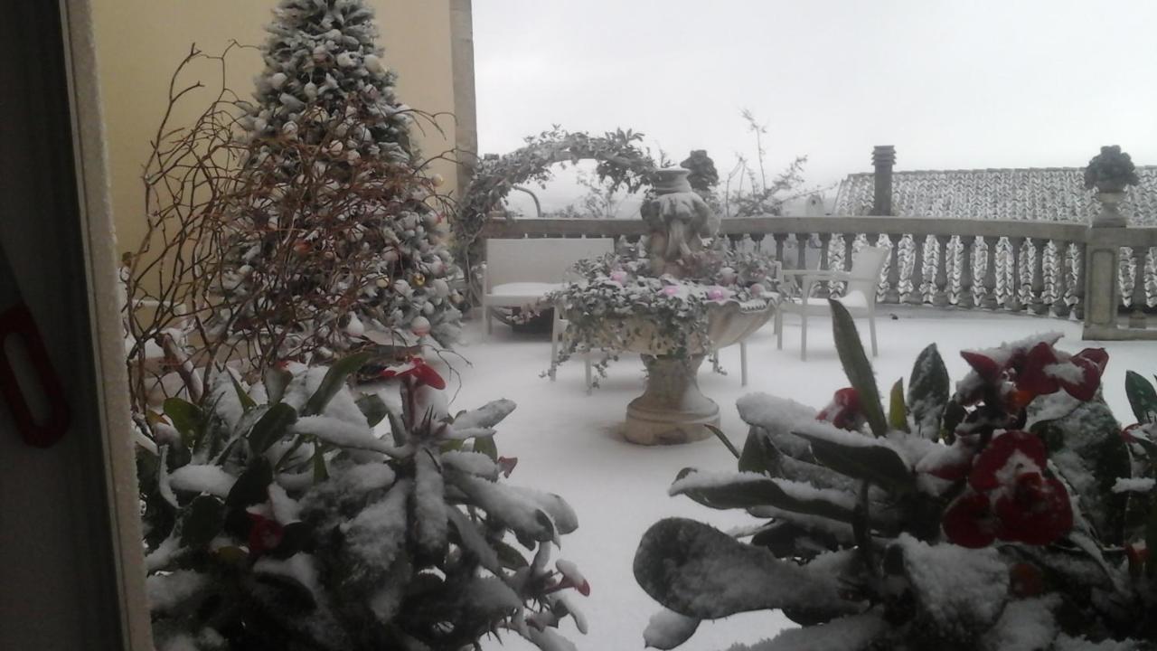 Di Miscio